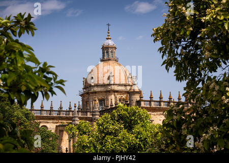 Spanien, Jerez de la Frontera, Calle Manuel Maria Gonzalez, Dom Dom und die Skyline der Stadt. Stockfoto