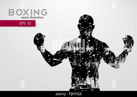 Boxing Silhouette. Hintergrund und Text auf einem separaten Layer, Farbe kann mit einem Klick geändert werden. Boxen. Vector Illustration Stock Vektor