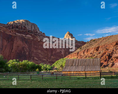 Stall bei Gifford House, Capitol Reef National Park, Utah. Stockfoto