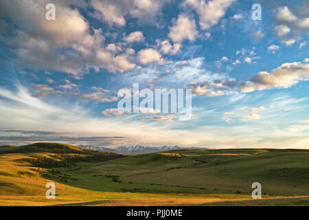 Blühende Frühling Wildblumen Teppich der Zumwalt Prairie und in der Ferne schneebedeckte Wallowa Mountains in der NE Oregon Wallowa County. Stockfoto