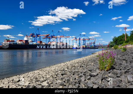 Container Umschlag im Container Terminal Altenwerder in Hamburg, Deutschland, Europa, Containerumschlag am Containerterminal Altenwerder, Hamburg, D Stockfoto