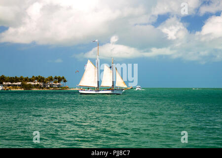 Segelboot mit großen weißen Segeln auf blauem Wasser des tropischen Paradieses, Urlaub in Sunset Key Resort Island, Florida Key West Stockfoto