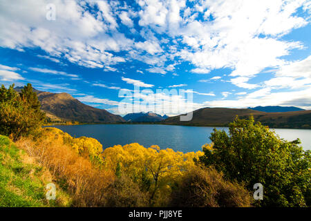 Herbstlandschaft Bunte Landschaft mit Bäumen, See und goldenen Hügeln der Central Otago Region, Lake Hayes, Dorf Arrowtown, Neuseeland Stockfoto