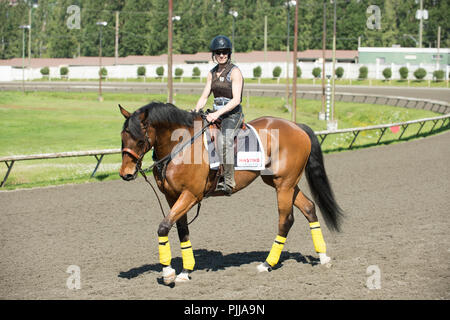 Begleiter Pony Reiter am Hastings Park Racetrack, Vancouver. Stockfoto