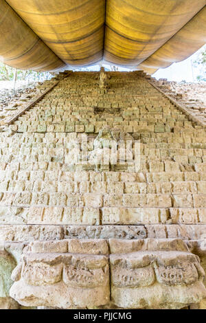 Eine typische Ansicht in Copan Ruinen in Honduras Stockfoto