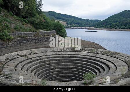 Ergriffen, um die Auswirkungen der heißesten Sommer für die Aufnahme auf RECORD (2018) auf der Lady Bower Behälter. Stockfoto