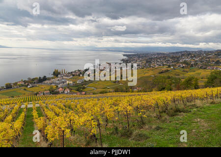 Goldenen Weinreben. Schöne Aussicht auf die Weinberge, Lavaux, bewölkter Himmel scape, Teil der Alpen und den Genfer See im Hintergrund. Kanton Waadt, Schweiz Stockfoto