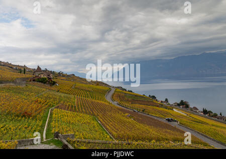 Goldenen Weinreben. Schöne Aussicht auf die Weinberge, Lavaux, bewölkter Himmel scape, Teil der Alpen und den Genfer See im Hintergrund. Kanton Waadt, Schweiz Stockfoto