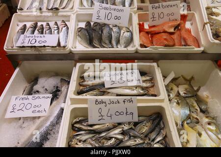 Sea Food auf Billingsgate Fish Market in Pappel, London, UK. Stockfoto