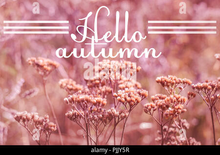 Text h?llo Herbst auf unscharfen Herbst Foto. September Glückwunschkarte. Stockfoto