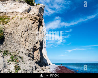 Møns Klint, der berühmten Kreidefelsen, Insel von Mons, Dänemark, Europa. Stockfoto