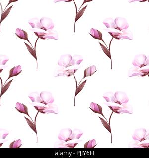 Rosa Blüten auf Weiß. Nahtlose Hintergrund Botanik Frühling Stockfoto