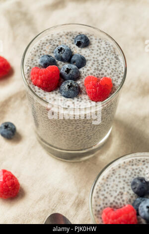 Hausgemachten süßen Chia Samen Milchreis mit Beeren Stockfoto