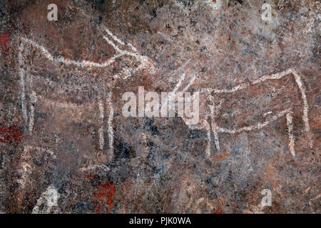 Buschmänner (San) rock Gemälde von eland Antilopen, Northern Cape, Südafrika Stockfoto