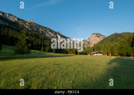 Mountainbike Szene im Längental mit Alm, in der Nähe von Lenggries, Bayerische Alpen, Bayern, Deutschland Stockfoto