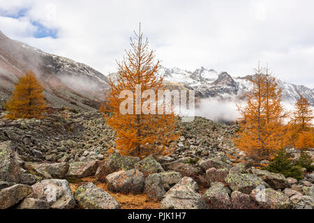Der Morgennebel löscht auf der Albula und gibt eine klare Sicht auf die Berge rund um Bergün, Kanton Graubünden, Schweiz Stockfoto