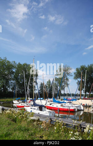 Bad Zwischenahn, marina Bünting Stockfoto