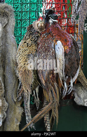 Spiel Vögel am Borough Market in London. Stockfoto