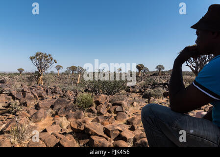 Anleitung zum Sitzen im Schatten und der Blick in die Ferne über den Köcherbaumwald in der Nähe von Keetmanshoop, Namibia Stockfoto