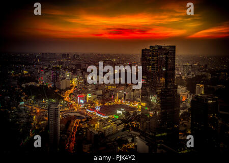 Asien, Südostasien, South Vietnam, Vietnam, Saigon, Ho Chi Minh City, bitexco Financial Tower Stockfoto