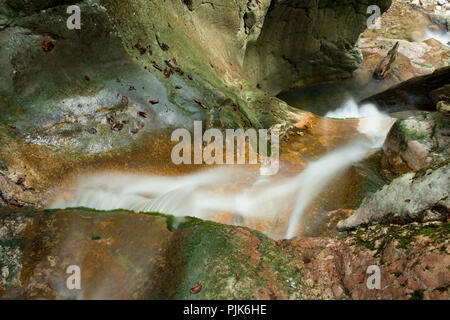 Schlucht im Bodinggraben, Nationalpark Kalkalpen, Oberösterreich, Österreich. Stockfoto