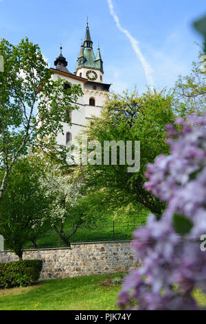 Kremnitz (kremnica), Burg der Stadt und die Kirche St. Katharina in der Slowakei, Stockfoto