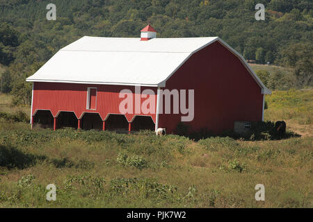 Große Scheune in der Virginia Landschaft Stockfoto