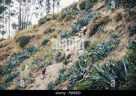 Glückliches Kind klettert eine gewundene Bergweg von seiner Mutter in Canta - Peru gefolgt Stockfoto