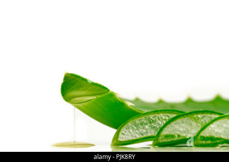 Aloe Vera Stockfoto