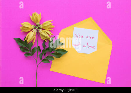 Sie sind nicht allein Nachricht Karte Handschrift in gelber Umschlag mit Ylang Ylang Blume Anordnung auf rosa Hintergrund Stockfoto