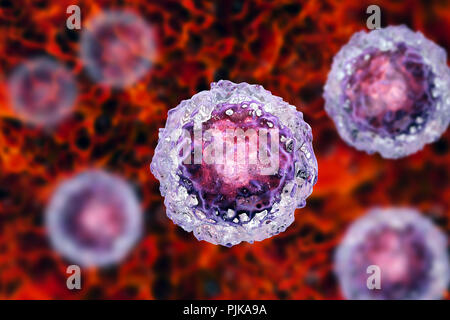 Menschliche embryonale Stammzellen, computer Abbildung. Stockfoto