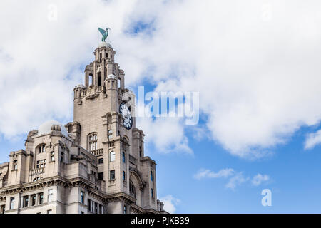 Streetview Royal Liver Building in Liverpool Stockfoto