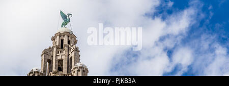 Streetview Royal Liver Building in Liverpool Stockfoto