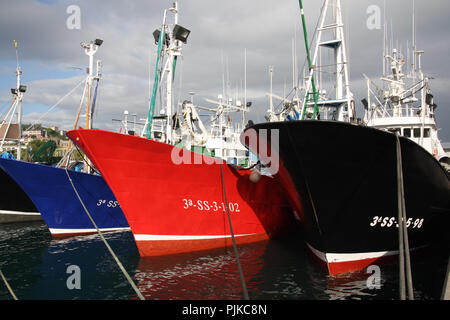 MSC-zertifizierte Weißer Thunfisch Troll und Pol&line Fischereiflotte in Getaria Hafen (Baskenland) Stockfoto