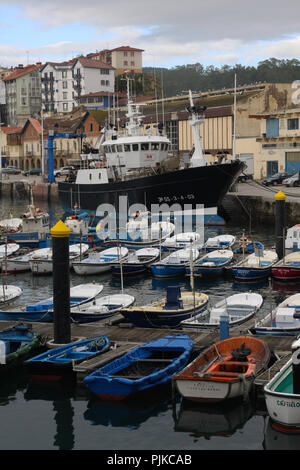 MSC-zertifizierte Weißer Thunfisch Troll und Pol&line Fischereiflotte in Getaria Hafen (Baskenland) Stockfoto