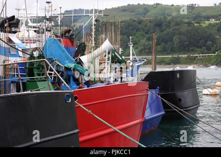 MSC-zertifizierte Weißer Thunfisch Troll und Pol&line Fischereiflotte in Getaria Hafen (Baskenland) Stockfoto