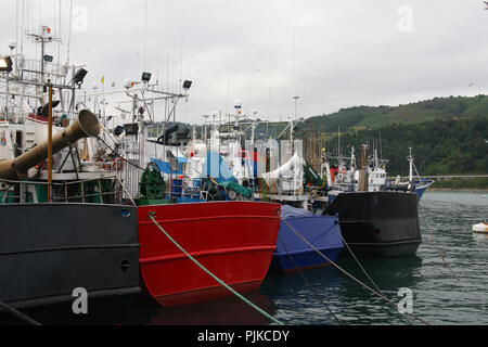 MSC-zertifizierte Weißer Thunfisch Troll und Pol&line Fischereiflotte in Getaria Hafen (Baskenland) Stockfoto
