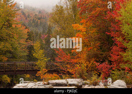 Felsige Schlucht Sicht bin Kancamagus Highway Stockfoto