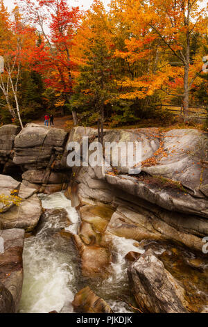 Wasserfall an der Straße zur Zahnradbahn, Bretton Woods, NH Stockfoto