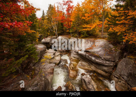 Wasserfall an der Straße zur Zahnradbahn, Bretton Woods, NH Stockfoto