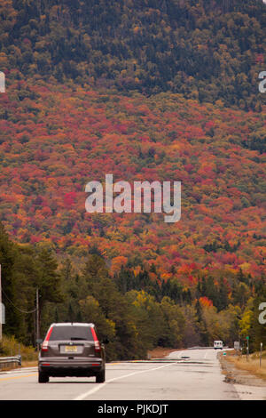 Herbstwald am Highway 302 nahe Bretton Woods Stockfoto