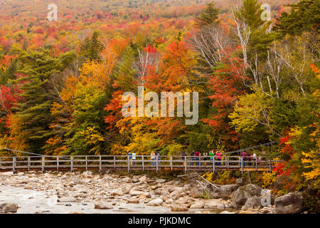 Herbstwald bin Kancamagus Highway nahe Lincoln Stockfoto