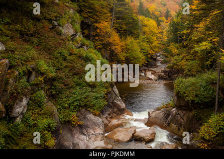 Wanderung durch die Klamm in der Franconia Notch Stockfoto