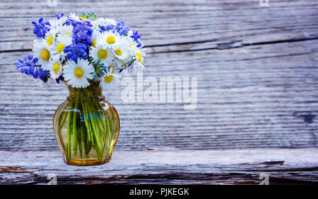 Gänseblümchen, Vergissmeinnicht und traubenhyazinthen wie ein Strauß Blumen in einer Vase Stockfoto