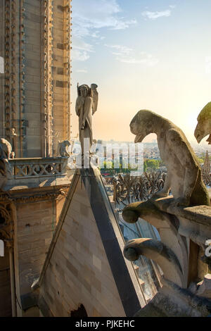 Statuen von Chimären auf Notre Dame de Paris, France Stockfoto