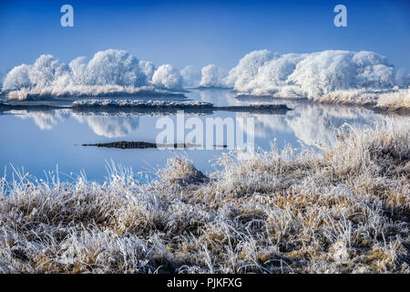 Deutschland, Hamburg, Kirchwerder, winter Elbe Landschaft Stockfoto