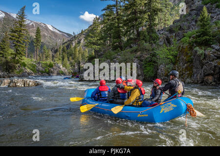 Wildwasser Rafting auf dem Middle Fork Salmon River in Idaho mit weitem Abenteuer. Stockfoto