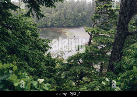 Blick auf den Strand von Wild Pacific Trail, Vancouver Island, Kanada Stockfoto