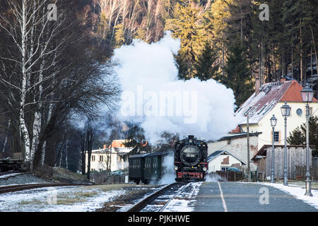 Deutschland, Sachsen, Oberlausitz, Oybin, Dampflokomotive Stockfoto