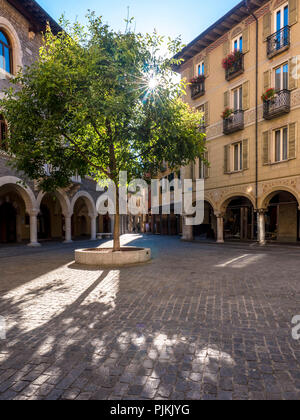 Platz an der Sonne Stockfoto